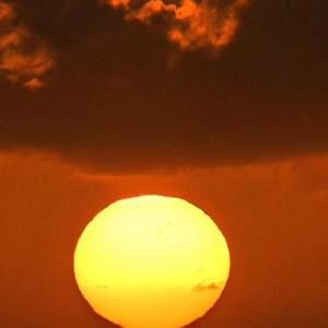 Meet your Posher, Rick